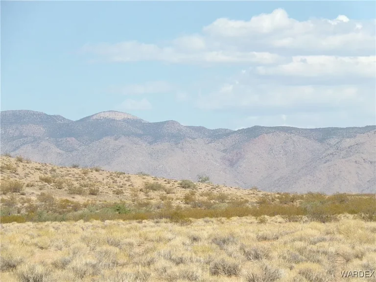 Kingman Parcel 4