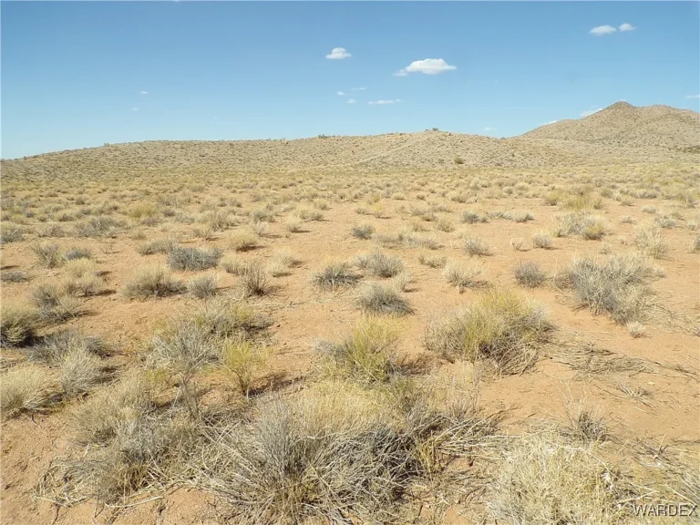 Kingman Parcel 5