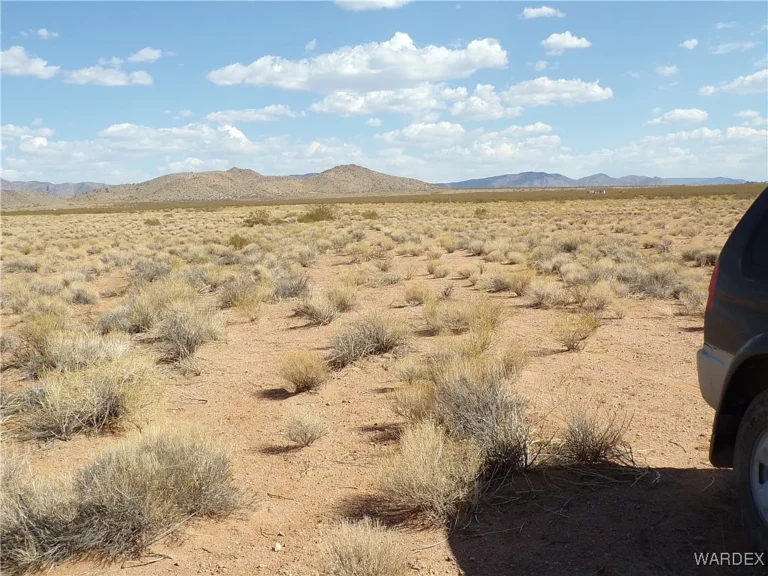 Kingman Parcel 6