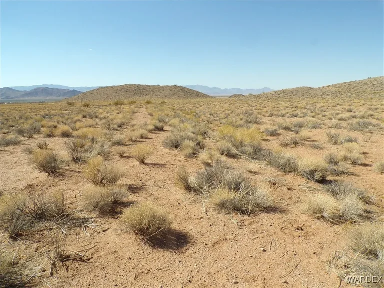 Kingman Parcel 8