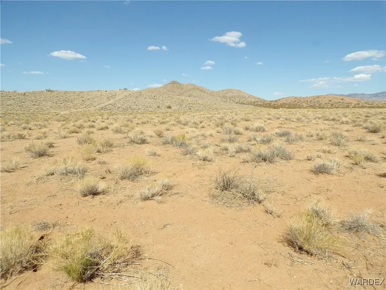 Kingman Parcel 9