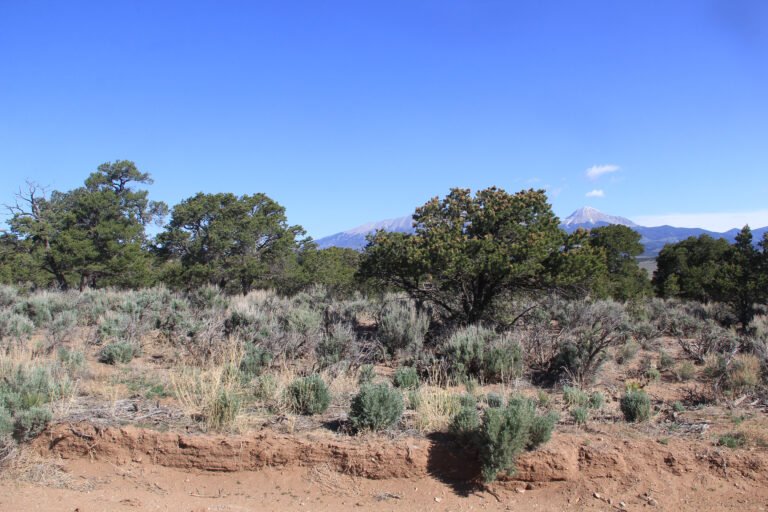 Lot from Road