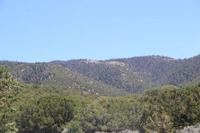 Sangres 1