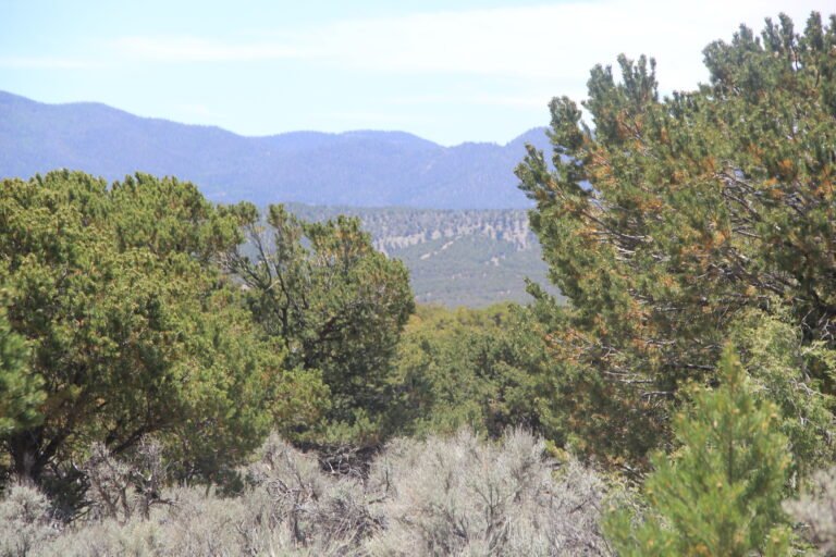 Sangres 3
