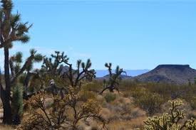 Havinland AZ Land